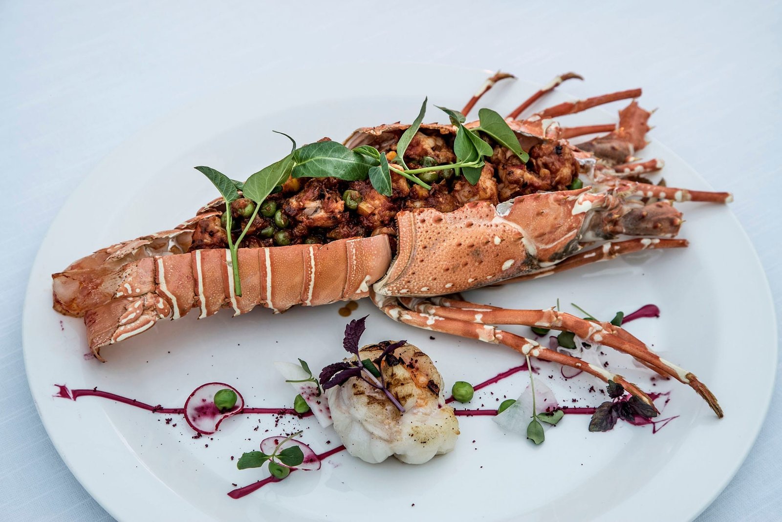 Maldives all inclusive package lobster