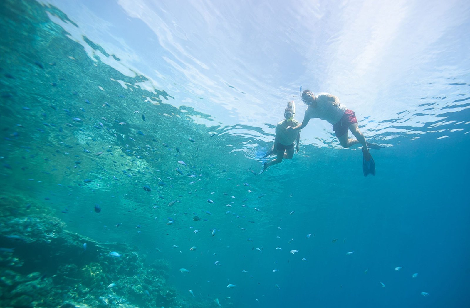 Snokerling in Maldives - Activities in Maldives
