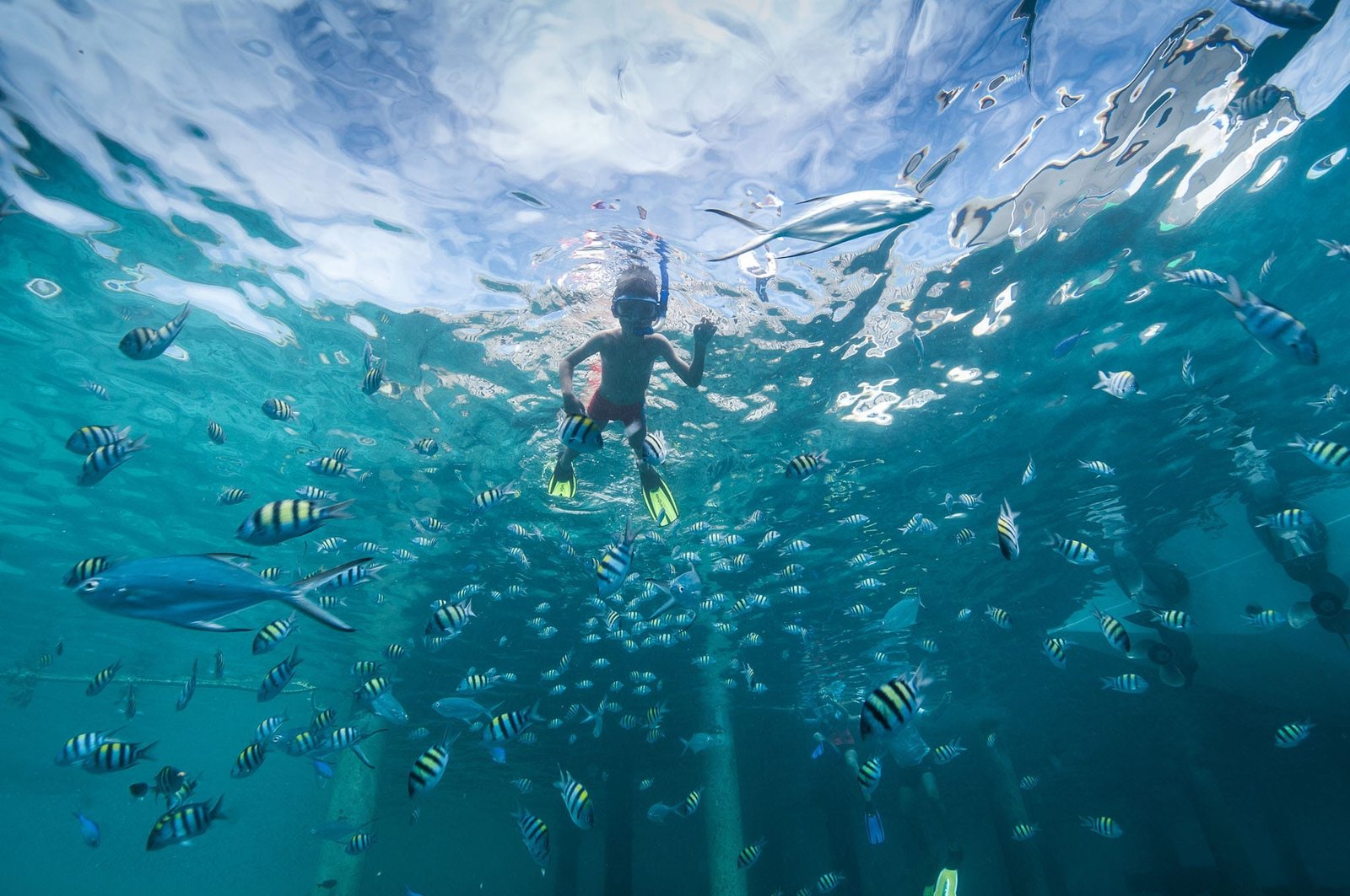 Snorkeling in Maldives - Things to do in Maldives